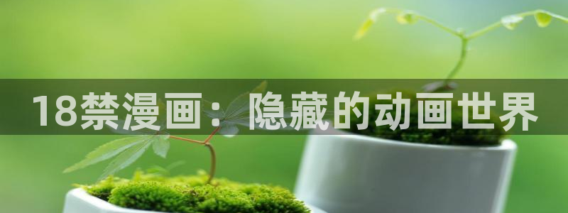 大叔漫画韩漫：18禁漫画：隐藏的动画世界