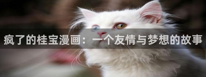 韩漫免费动漫看网站：疯了的桂宝漫画：一个友情与梦想的故事