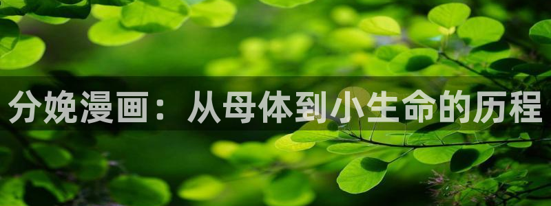 漫画免费在线阅读韩漫：分娩漫画：从母体到小生命的历程