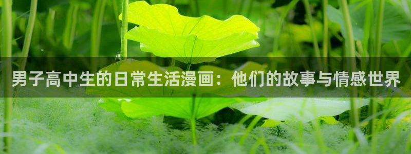 韩漫免费观看漫画下拉：男子高中生的日常生活漫画：他们的故事与情感世界