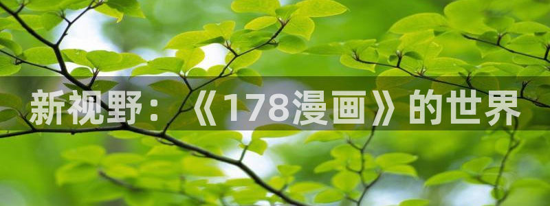 韩漫小姐漫画：新视野：《178漫画》的世界