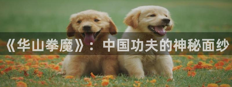 来自深渊漫画韩漫：《华山拳魔》：中国功夫的神秘面纱