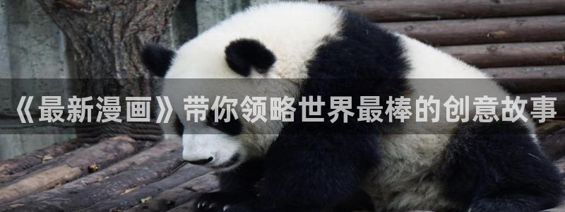 韩漫画韩国：《最新漫画》带你领略世界最棒的创意故事