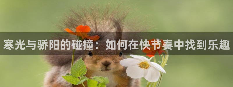 韩漫漫画无删减免费阅读：寒光与骄阳的碰撞：如何在快节奏中找到乐趣