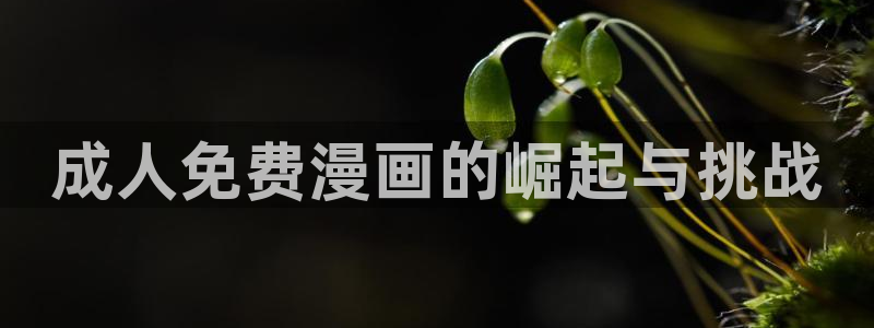 歪歪漫画韩漫网站：成人免费漫画的崛起与挑战